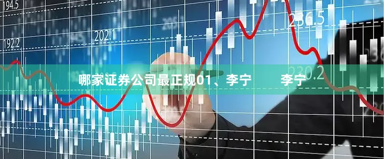 哪家证券公司最正规01、李宁        李宁